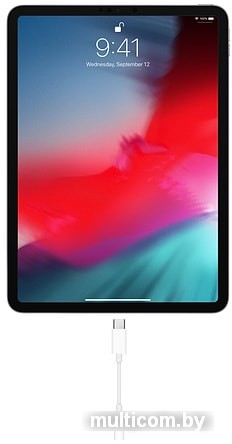 Адаптер Apple MU7E2ZM/A