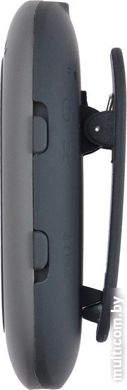 MP3 плеер Digma C2LG (серый) [367272]