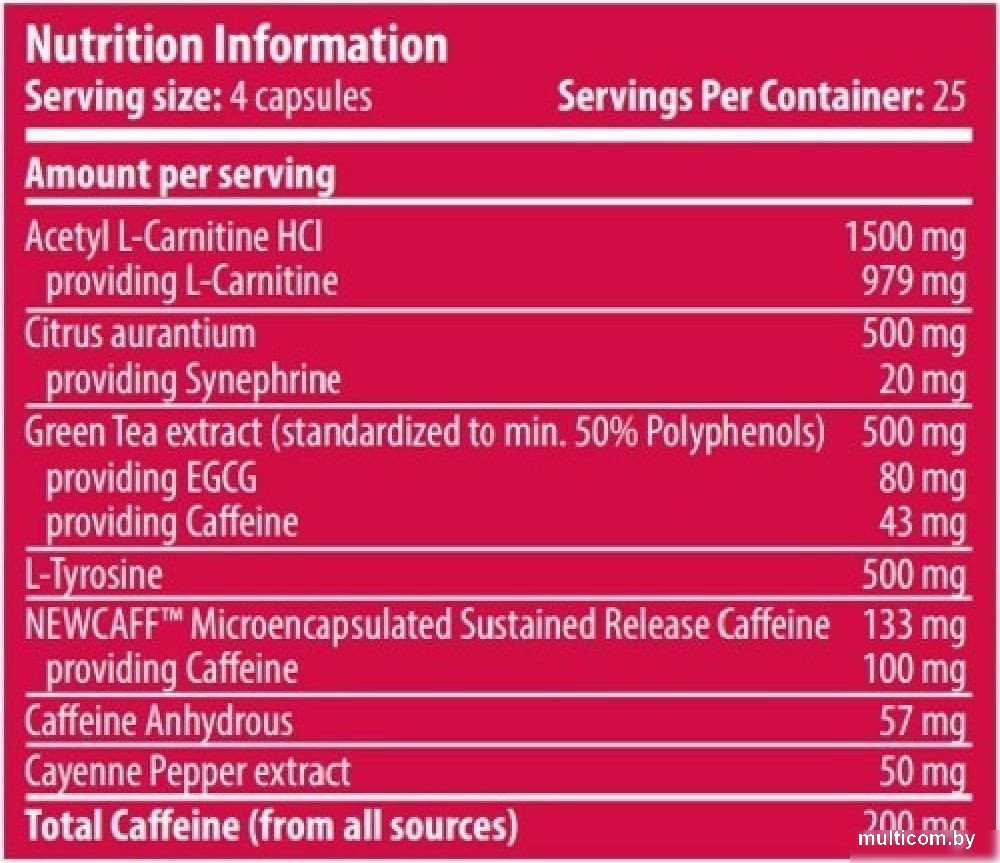 Аминокислоты Scitec Nutrition Turbo Ripper (100 капсул)