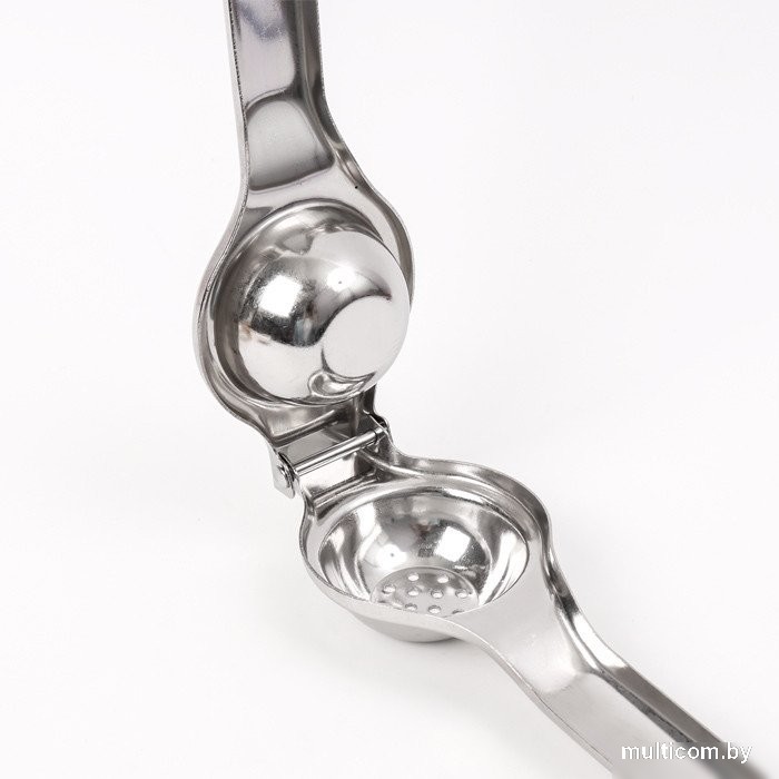 Пресс для цитрусовых Darvish DV-H-2045