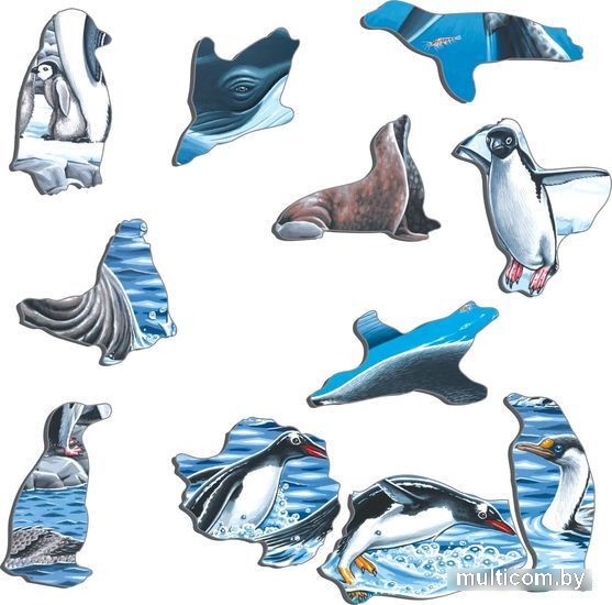 Пазл Larsen Животный мир Антарктики FH48