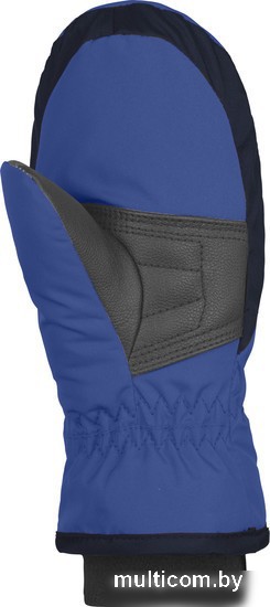 Варежки Reusch Kids mitten Dazzling 4885405-402 (р-р 0, blue)