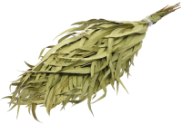 Банный веник Банные штучки 03691