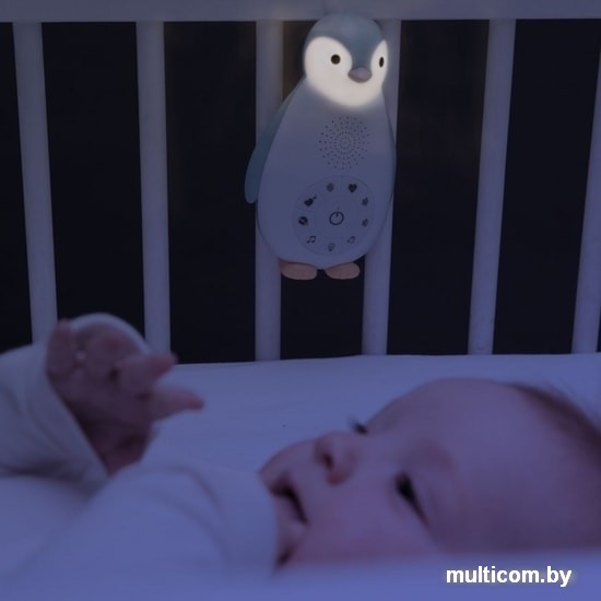 Беспроводная колонка Zazu ZA-ZOE-02