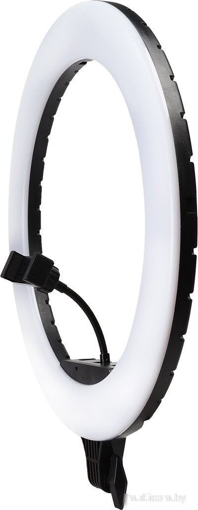 Кольцевая лампа SmartBuy SBL-TTL-18