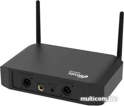 Микрофон Ritmix RWM-222