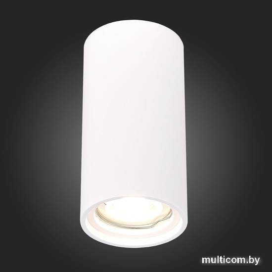 Точечный светильник ST Luce ST155.502.01