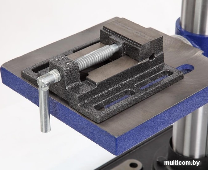 Станок Белмаш DP250-16J