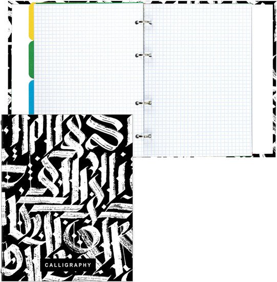 Общая тетрадь BRAUBERG Calligraphy 404097 (240л)