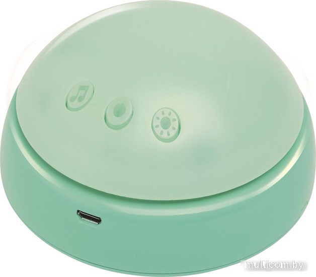 Музыкальная игрушка Hape Друг-мышка E0113