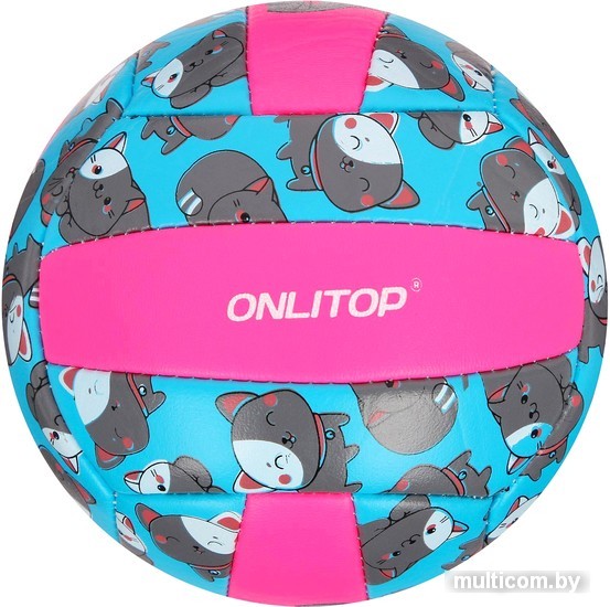 Мяч Onlitop Кошечка 4166907 (2 размер)