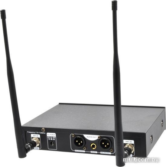 Радиосистема AxelVox DWS7000HT (HT)