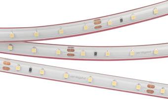 Светодиодная лента Arlight RTW-PS-A60-10mm 024564(2)