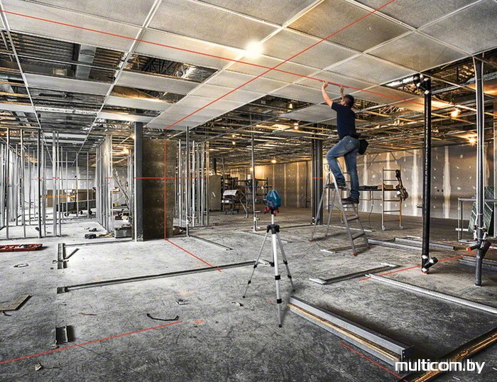 Лазерный нивелир Bosch GLL 5-50 X Professional [0601063N00]