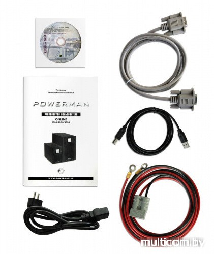 Источник бесперебойного питания Powerman Online 1000 Plus