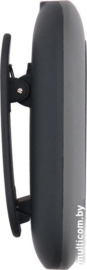 MP3 плеер Digma C2LG (серый) [367272]