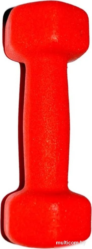 Гантель ZEZ Sport Виниловая 0.5kg-N-К