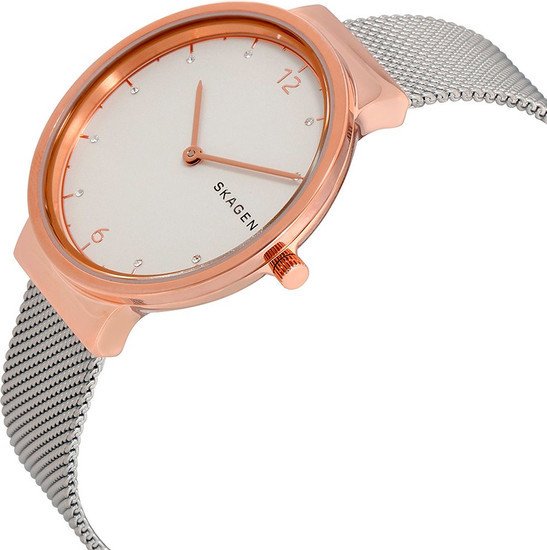Наручные часы Skagen SKW2616