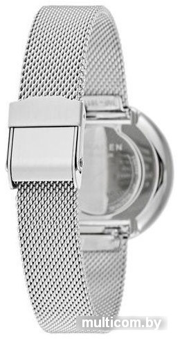Наручные часы Skagen SKW2596