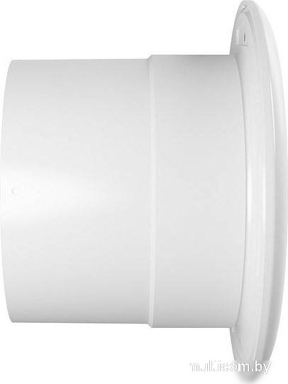 Осевой вентилятор ERA D125 Flow 5 BB