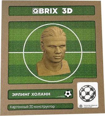 Конструктор QBRIX Эрлинг Холанн 3D 20055