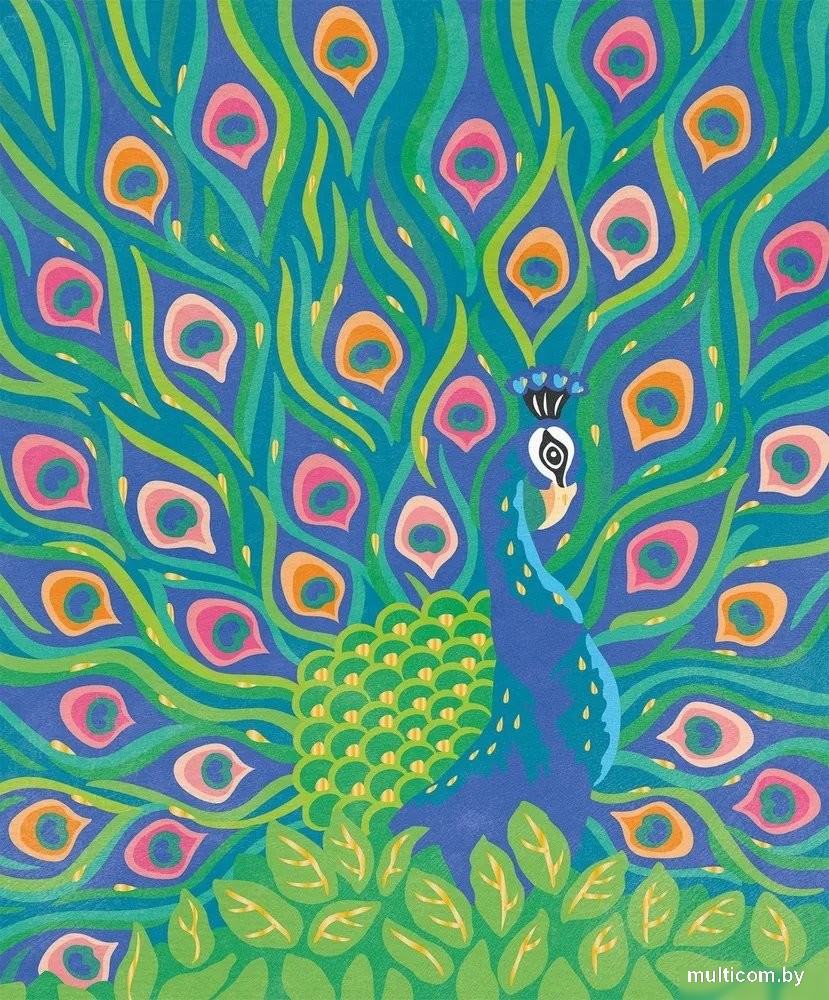 Janod Hachette Удивительные птицы J07986