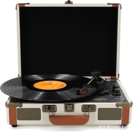 Виниловый проигрыватель Ritmix LP-130B (белый)
