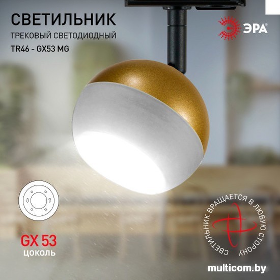 Трековый светильник ЭРА TR46-GX53 MG Б0054154