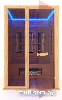 Инфракрасная сауна Шингарёв и Ко Прямая 2-местная