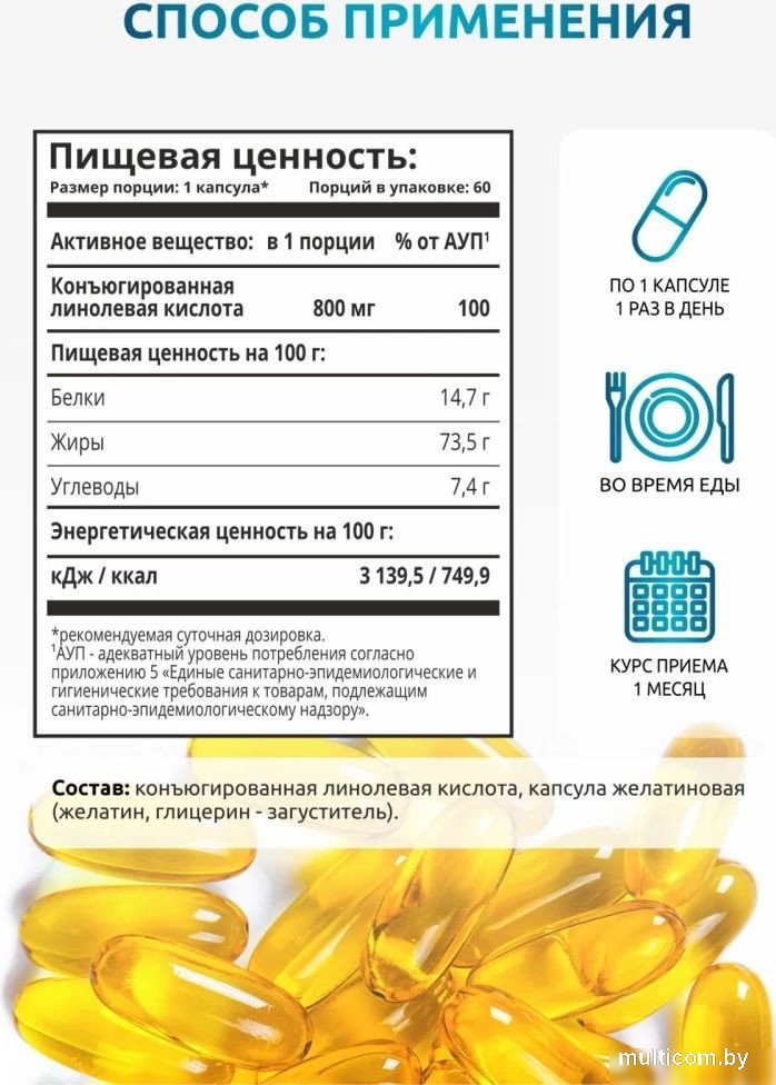 Аминокислоты Solab Fat Burner Day (60 капсул)