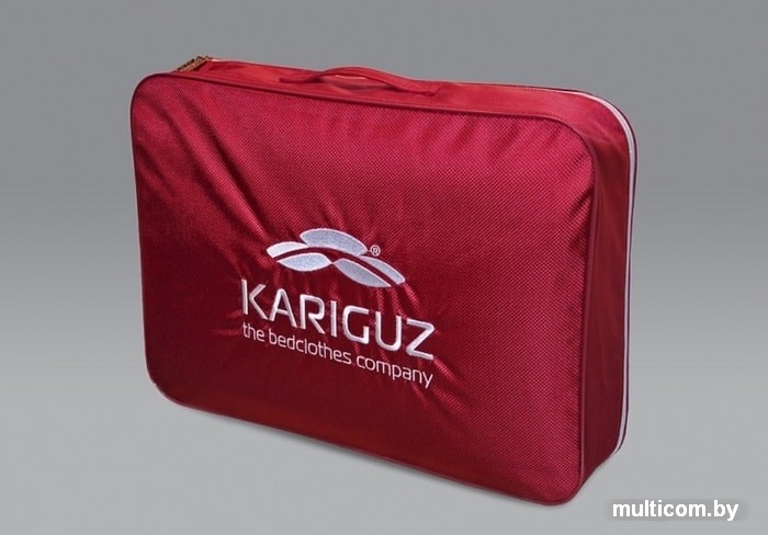 Спальная подушка Kariguz Био Тенсель 3БТ15-5 (68x68 см)