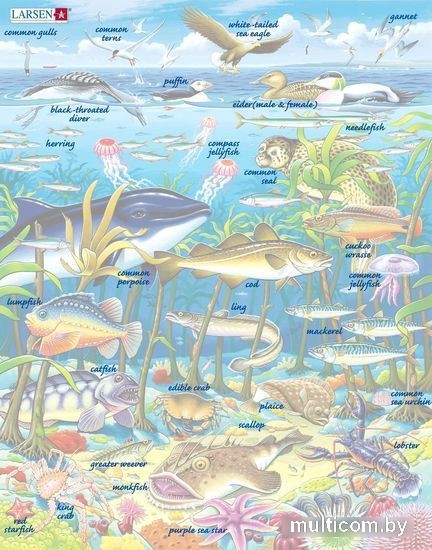 Пазл Larsen Водоросли FH13
