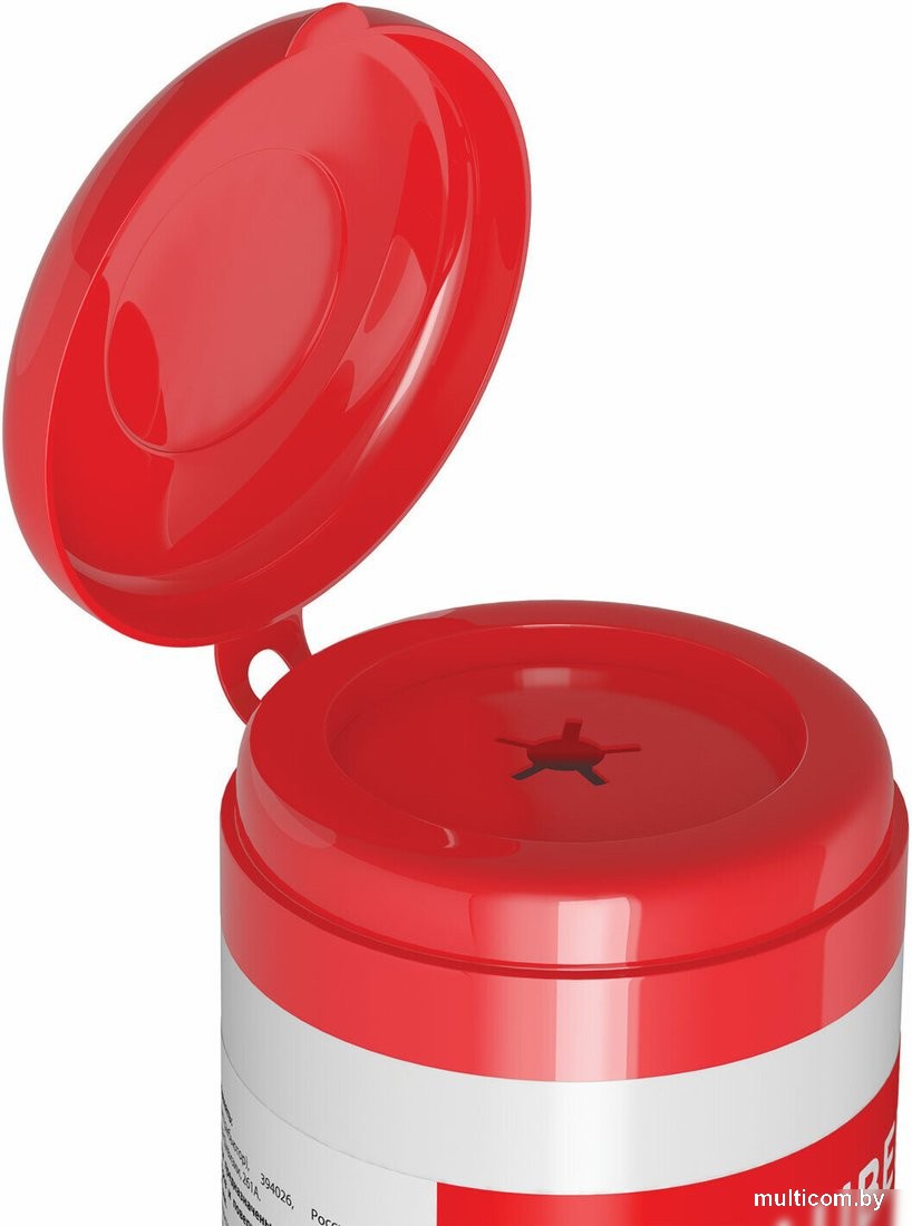 Влажные салфетки BRAUBERG 510122 (100 шт)