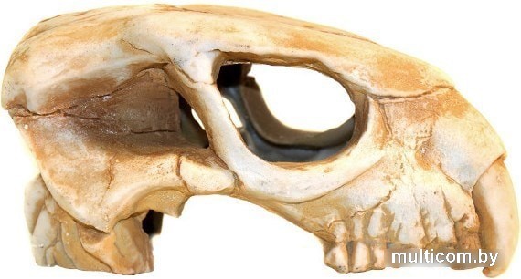 Декорация DekSi Череп динозавра №1001