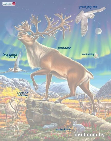 Пазл Larsen Северный олень FH26