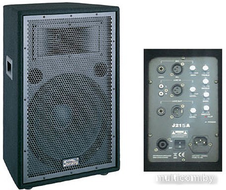 Активная акустика Soundking J215A
