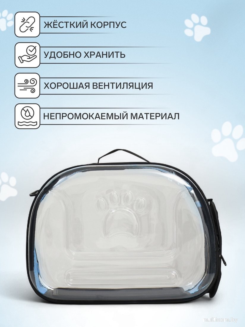 Переноска Sima-Land 9103308 (прозрачный/голубой)