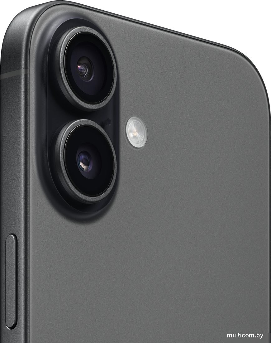 Телефон Apple iPhone 17 256GB (черный)