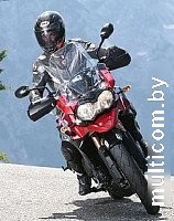 Дорожные мотошины Mitas Terraforce-R 140/80R17 69V TL