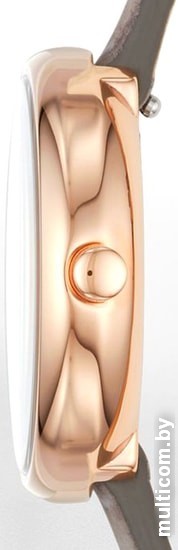 Наручные часы Skagen SKW2644