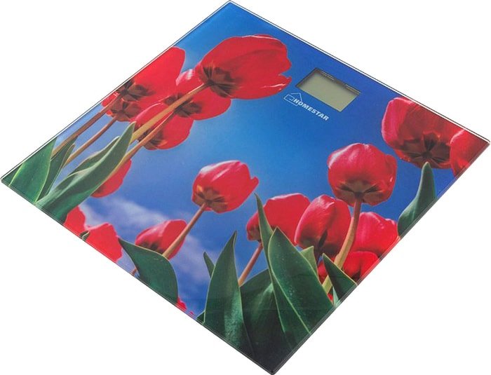 Напольные весы HomeStar HS-6001I