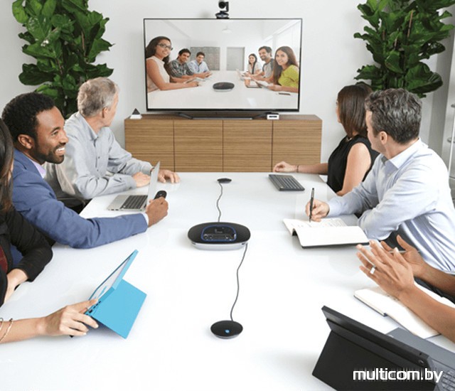 Микрофон Logitech Group Expansion Microphones [989-000171]