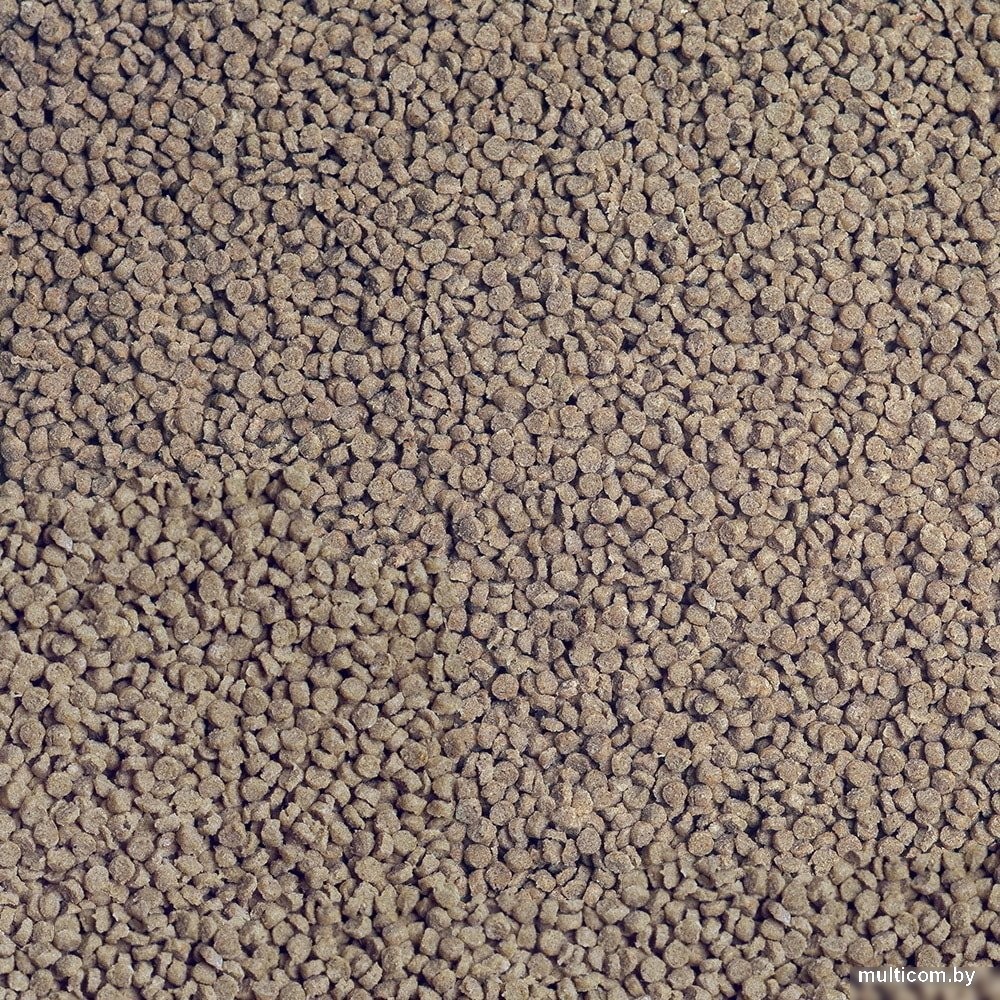 Сухой корм Sera Granured Nature 20 г