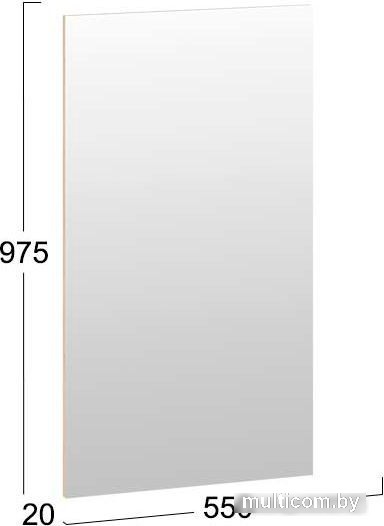 Зеркало Трия Хилтон Исп.2.1 (дуб крафт золотой)