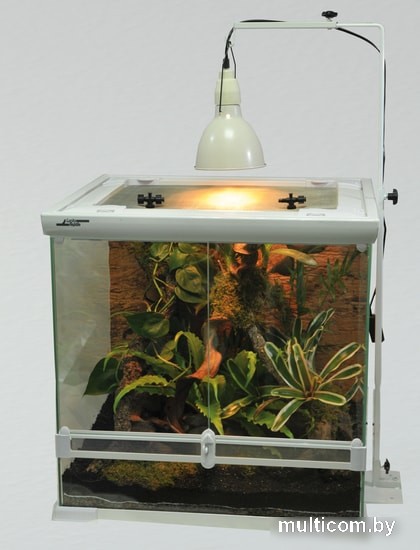 Палюдариум Lucky Reptile Aqua-Tarrium (белый)