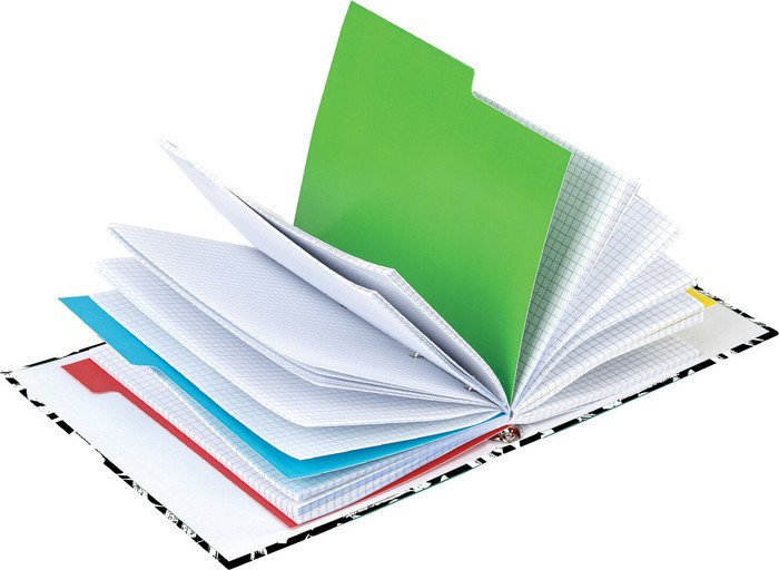 Общая тетрадь BRAUBERG Calligraphy 404097 (240л)