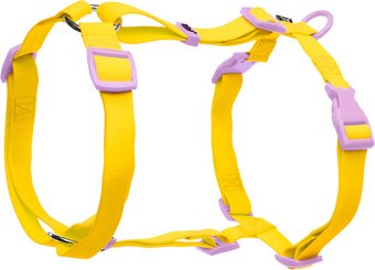 Шлея Triol Лимонная черника 11391005 (M, желтая)