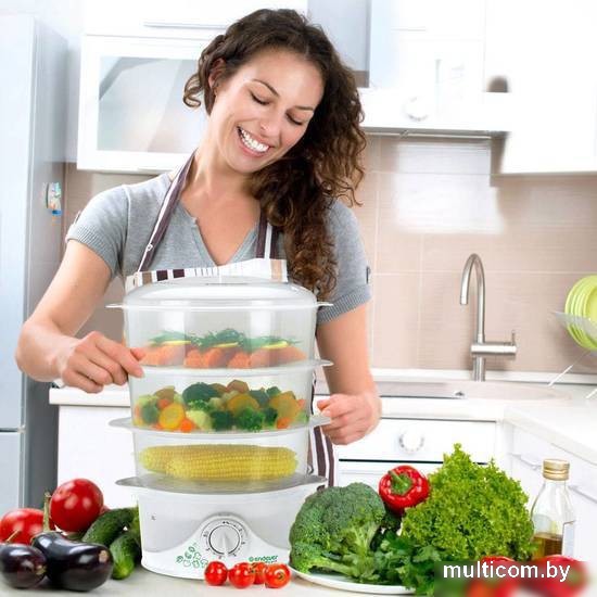 Пароварка Endever Vita 177