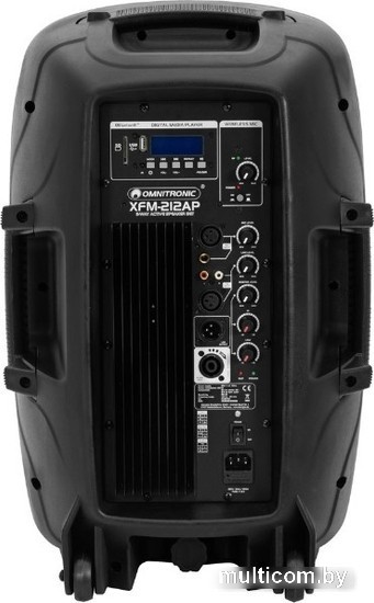 Комплект акустики Omnitronic XFM-212AP