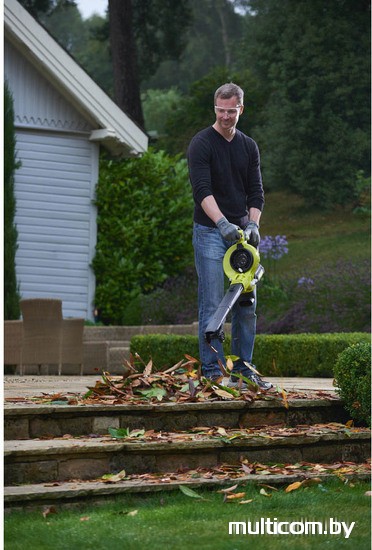 Ручная воздуходувка Ryobi RBV36B [5133002524]